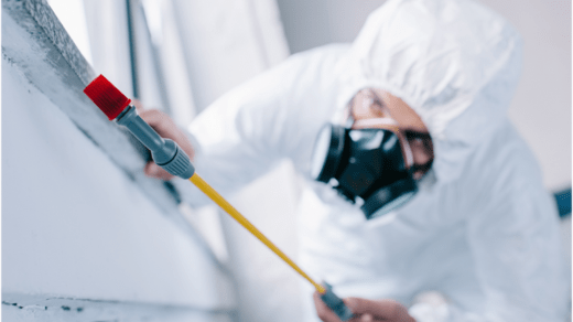 Bed Bugs Extermination Services