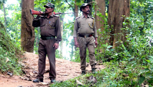 sarkari naukri van vibhag