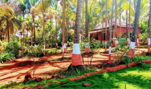 Budget Homestays in Konkan: Affordable Coastal Escapes Without Compromise
