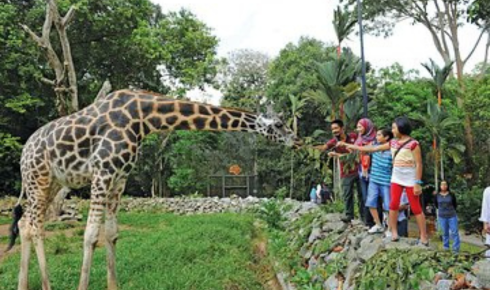 Best Zoos and Wildlife Parks in Malaysia for Families