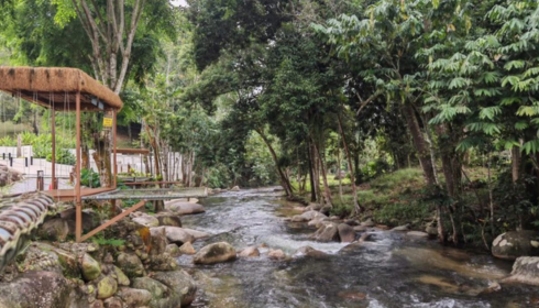 Monkey Canopy resort