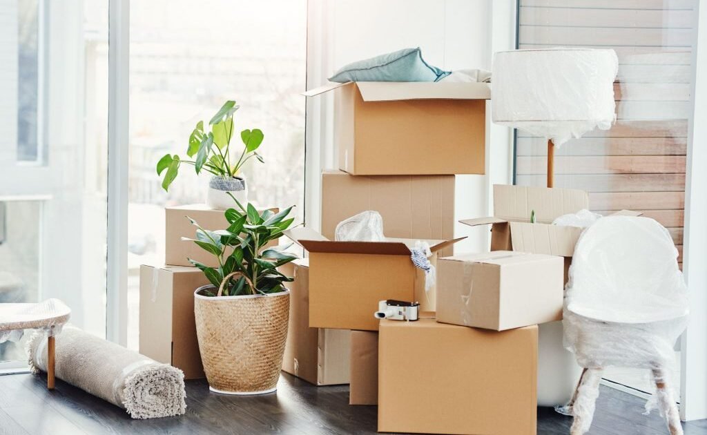 Professional Removals Brighton