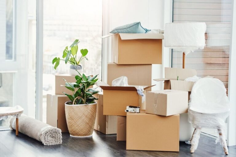 Professional Removals Brighton